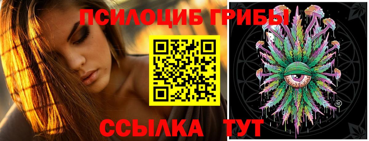Галлюциногенные грибы Cubensis  Вход с VPN  Псилоцибиновые грибы мицелий  Медногорск 